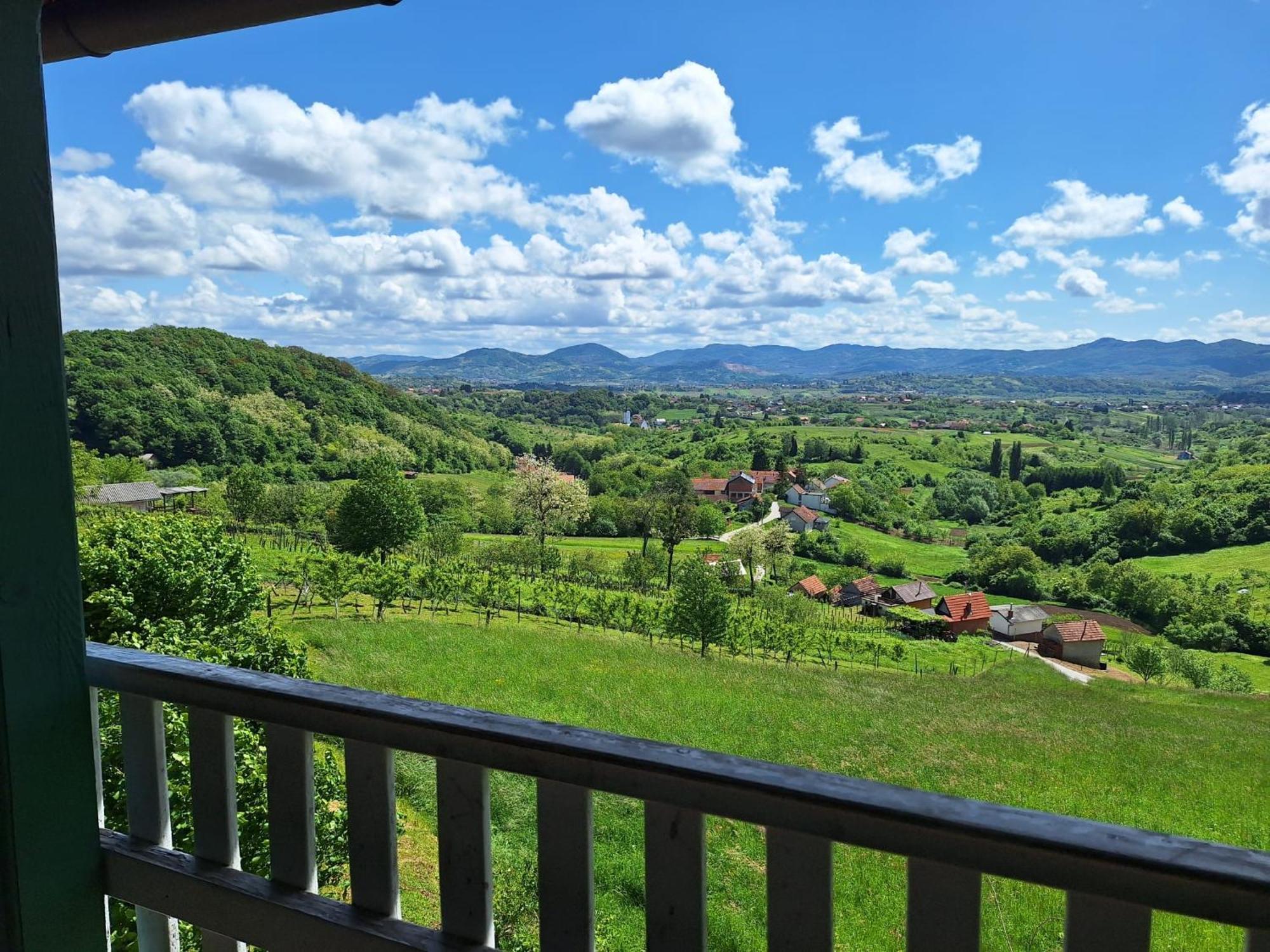Villa Jurina Hiza à Beletinec Extérieur photo